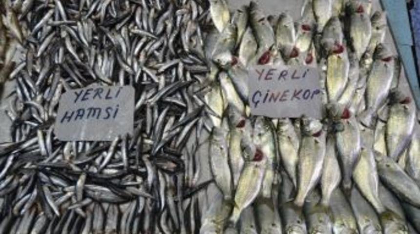 Havaların Soğuması Ve Fırtına, Balık Fiyatlarını Y&uuml;kseltti
