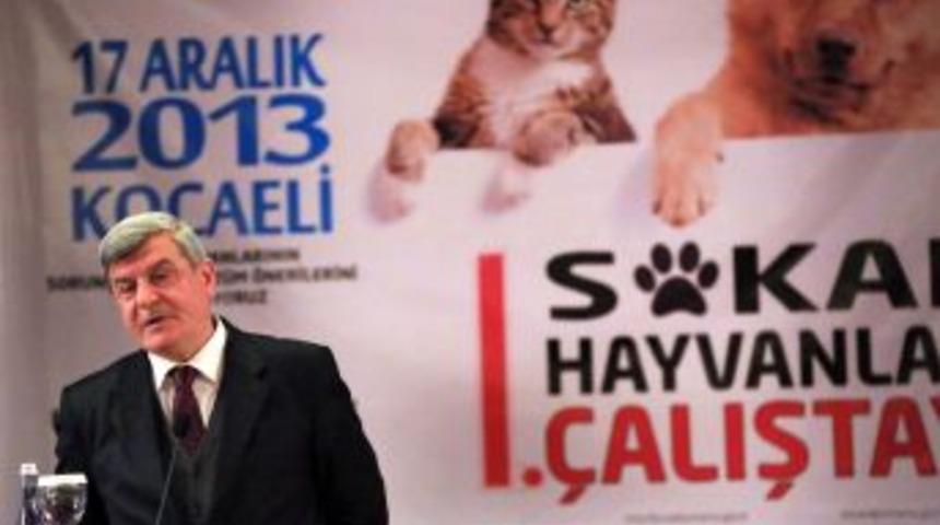T&uuml;rkiye&rsquo;nin Ilk Sokak Hayvanları &Ccedil;alıştayı Kocaeli'nde Ger&ccedil;ekleştirildi