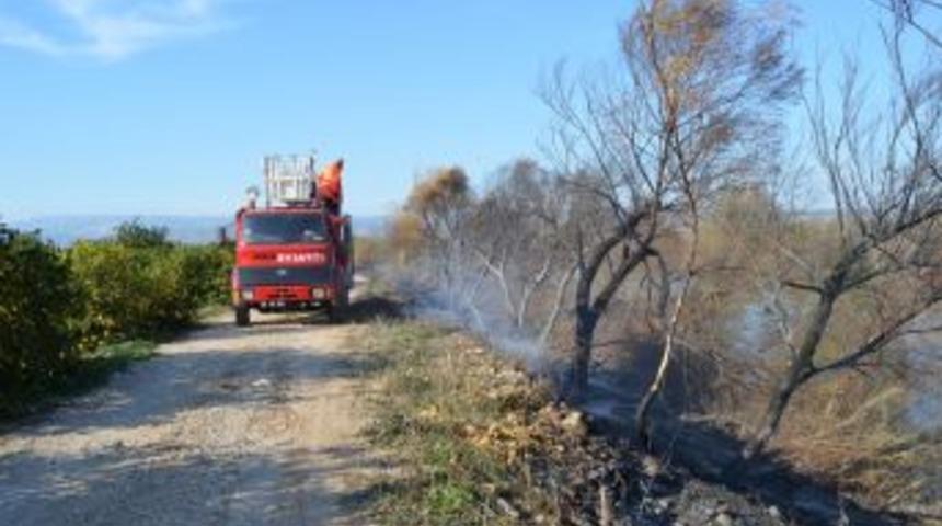 G&ouml;ksu Deltası'ndaki Yangın Korkuttu