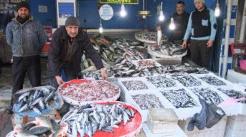 Havalar Soğudu Balık Bollaştı