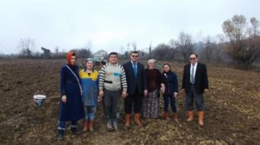 &Ccedil;aycuma'da &Ouml;rnek Ceviz Bah&ccedil;esi Olışturuldu