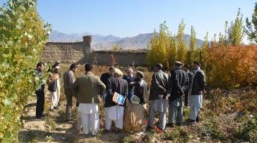 Afganistan&rsquo;da &Uuml;z&uuml;m Yetiştiriciliğine Destek