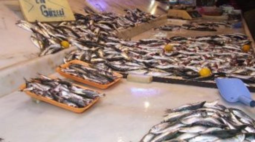 Hamsi Tahtını İstavrite Kaptırdı