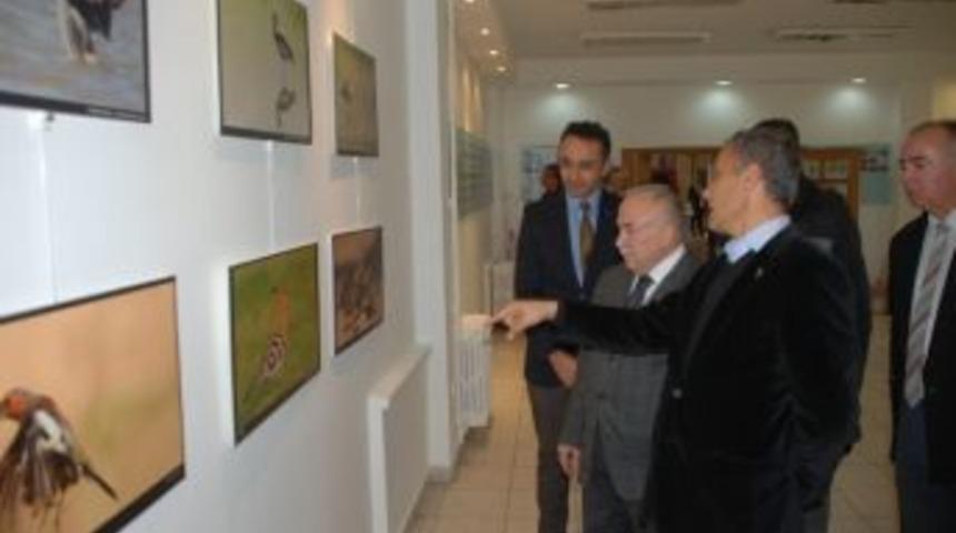 Zonguldak&rsquo;ta 299 Kuş T&uuml;r&uuml; Yaşıyor