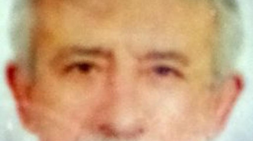 Otomobil K&ouml;pr&uuml;den U&ccedil;tu: 1 &Ouml;l&uuml;