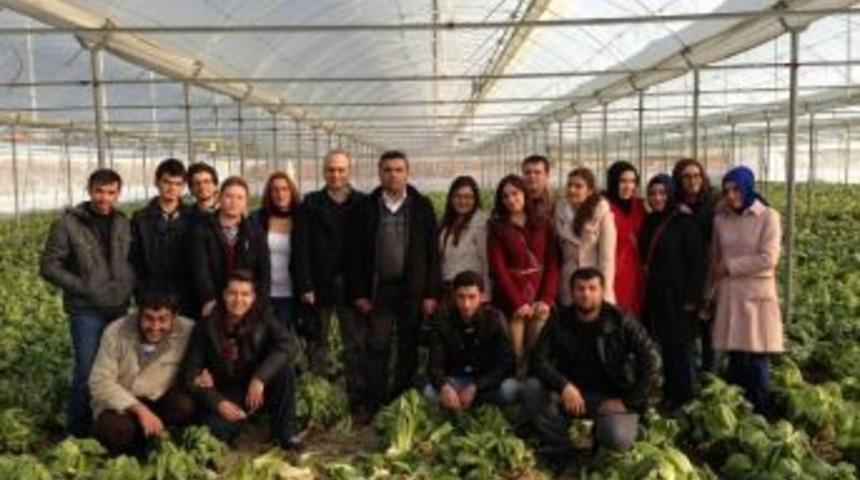 A&uuml; &Ouml;ğrencileri Don Vurmuş Sebzeleri İnceledi