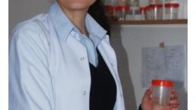 mısır Şurubu Karaciğeri Yağlandırıyor