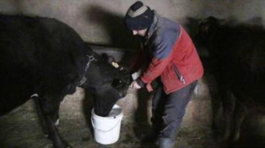 Doğuda G&ouml;letler Dondu, Hayvanlar Taşıma Su Ile Sulanıyor