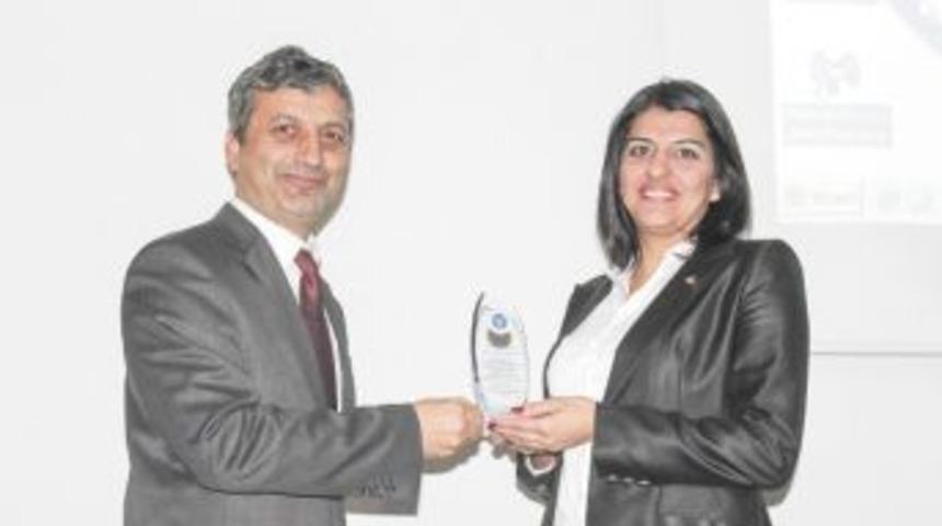 Potansiyel Başka Sonu&ccedil; Başka