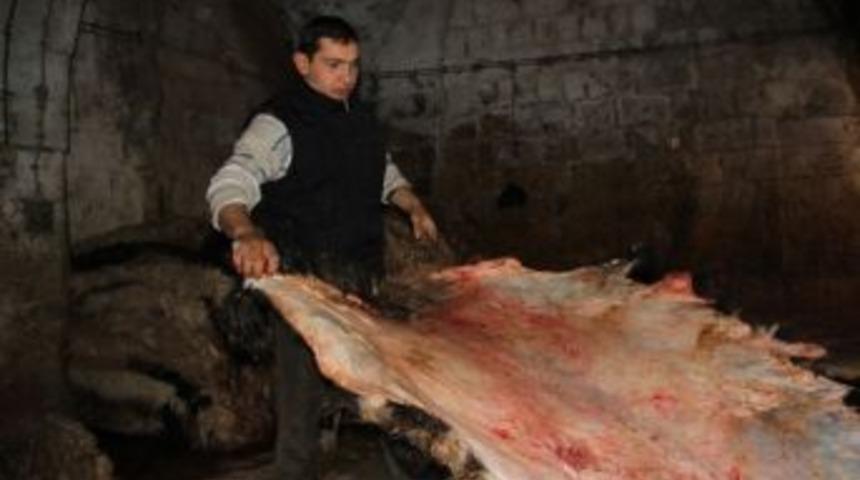 (&ouml;zel Haber) Dericiler 2014 Yılından Umutlu