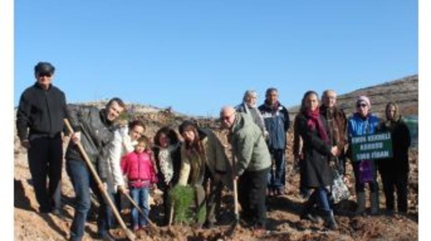 Emin Artık Fidanlarda Yaşayacak