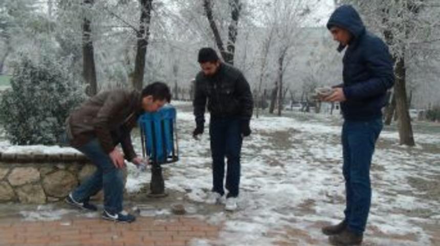 Sokak Hayvanları Için Park Ve Sokaklara Yem Bıraktılar