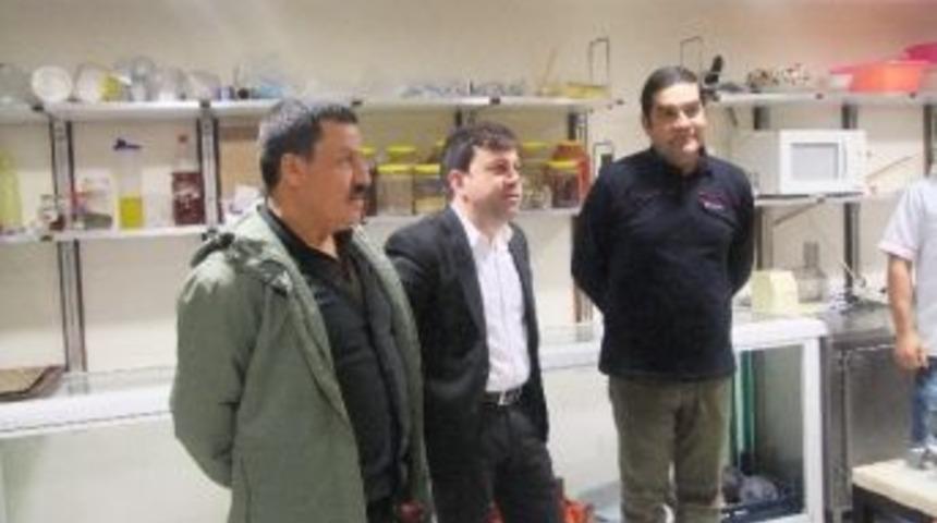 Gökçeada’da Yemek Kursu