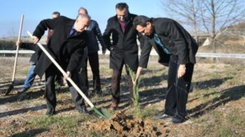 Yalova'da Yıl Sonuna Kadar 115 Bin Ağa&ccedil; Dikilecek