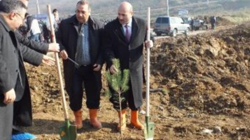 G&uuml;venli Hayat Ve G&uuml;venli Gelecek İ&ccedil;in Fidan Diktiler