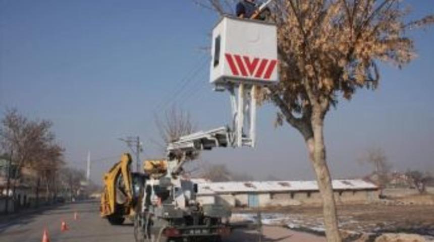 Karatay&rsquo;da Ağa&ccedil;lar Budanıyor