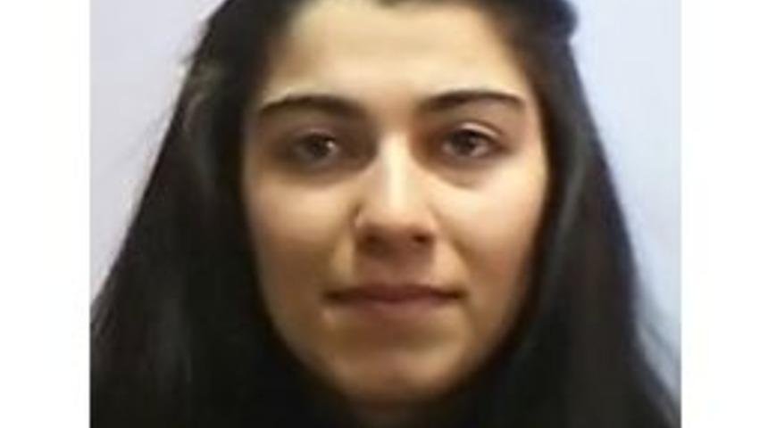 &Uuml;niversite &Ouml;ğrencisi Yolun Karşısına Ge&ccedil;emedi