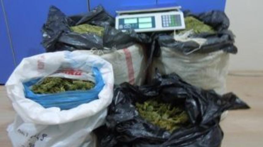 Ağrı'da Uyuşturucu Operasyonu