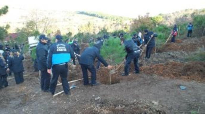 62 Bin 200 Ağacı Olan Başkan, 62 Bin 201'inci Ağacını Dikti