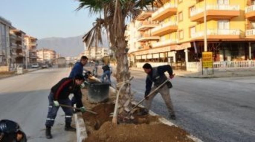 &Ouml;demiş&rsquo;in Yeni Ana Caddesi Palmiyelendi