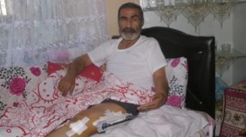 &Ouml;demiş'te Cinayet Mağduru Aile Cumhurbaşkanı G&uuml;l'den Af Bekliyor