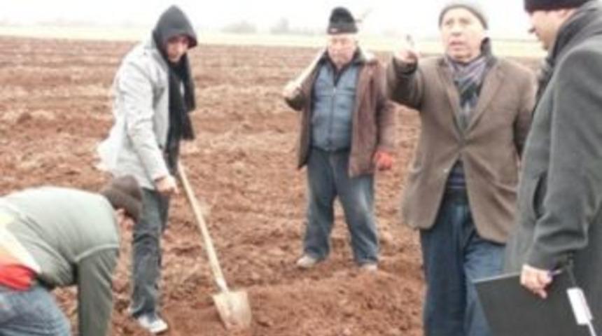 L&uuml;leburgaz Ağa&ccedil;landırılıyor