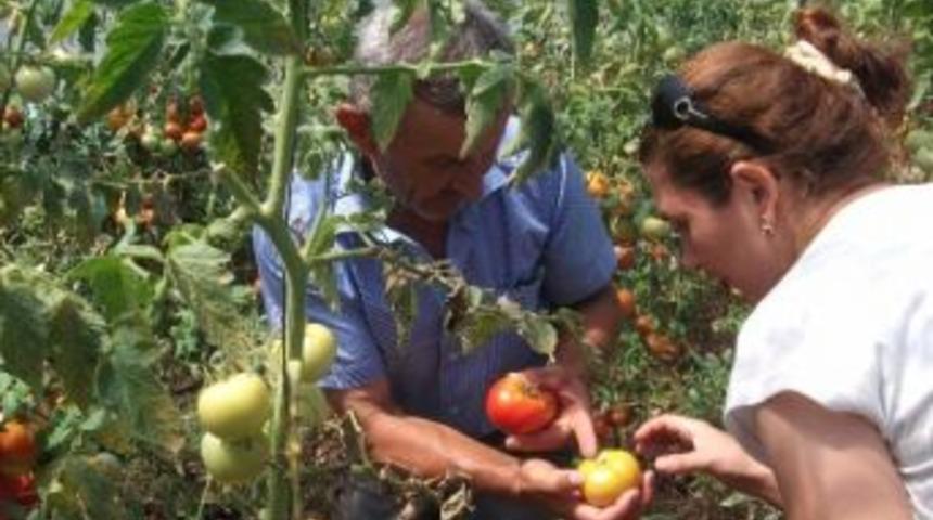 Tarıma Teşvik İ&ccedil;in &Ouml;nce Eğitim