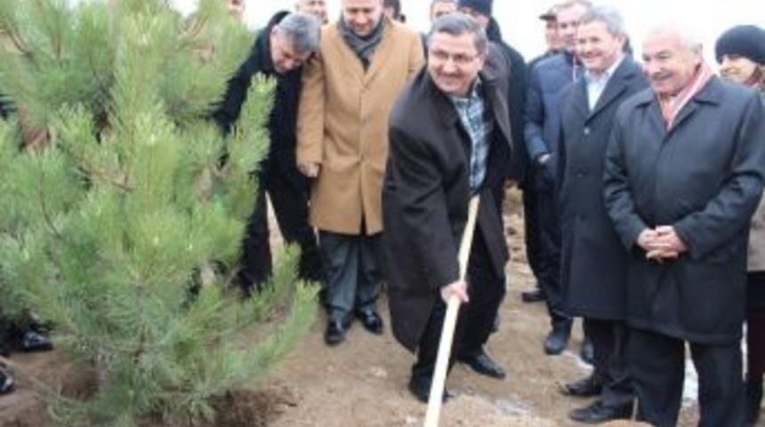 Memur-sen Genel Başkanı G&uuml;ndoğdu, Fidan Dikim T&ouml;renine Katıldı
