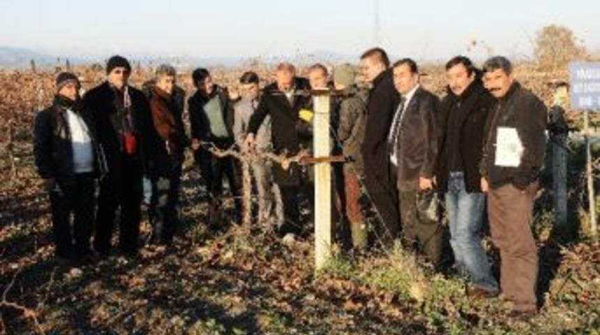 Erdemlili &Uuml;reticilere Manisa&rsquo;da Bağcılık Eğitimi