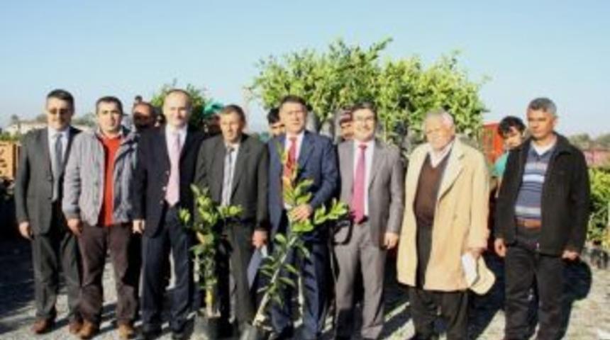 Erzin'de &Uuml;reticiye Narenciye Fidanı Dağıtıldı
