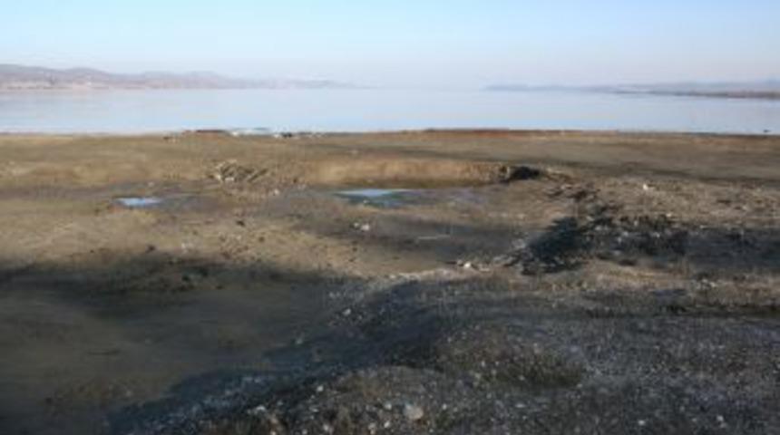 Sapanca&rsquo;yı Besleyen Dere Kurudu, 4 Balık T&uuml;r&uuml;n&uuml;n Nesli T&uuml;kendi
