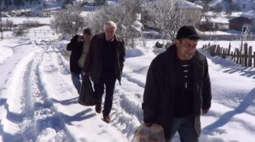 Kedi Ve K&ouml;pekleri İ&ccedil;in Her G&uuml;n K&ouml;ye Gidiyor