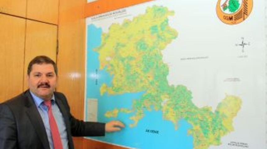 Muğla Ve Aydın'daki Orman Yangınlarında 968 Hektar Alan Zarar G&ouml;rd&uuml;