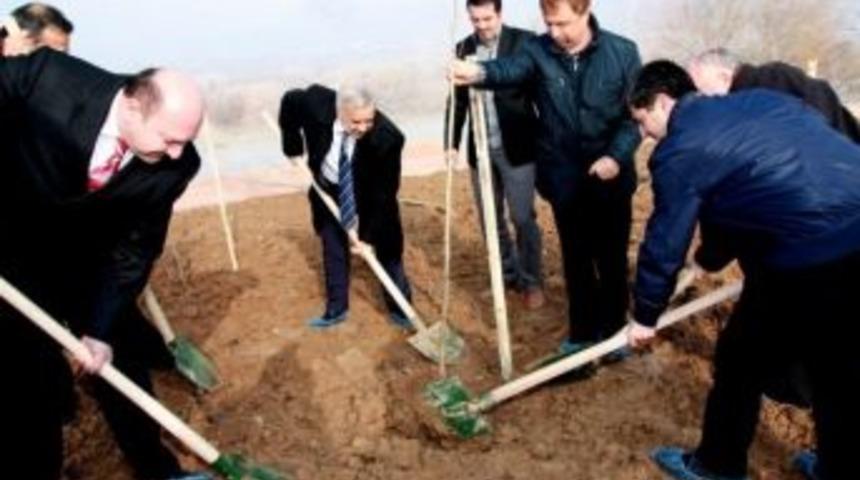 Osmaneli'nde 'herkesin Bir Dikili Ağacı Olmalı' Kampanyası