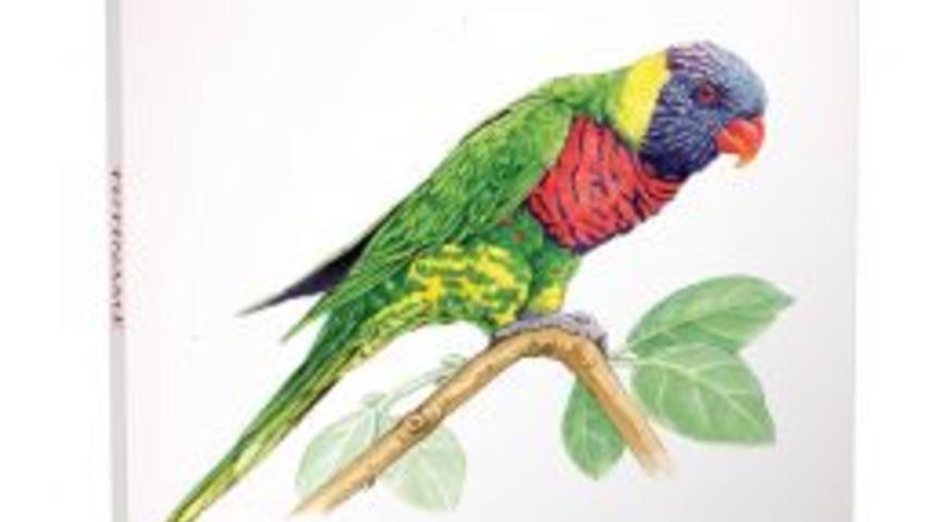 Doğu Klasikleri'nden T&ucirc;t&icirc;name, Zambak Yayınları&rsquo;nda