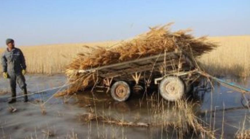 Kuş Cenneti Buz Tuttu