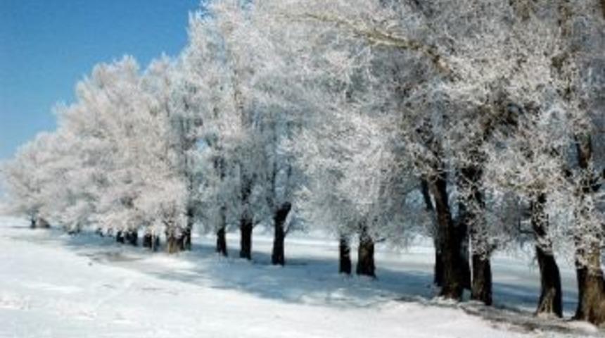 Erzurum&rsquo;da Eşsiz Kırağı G&ouml;r&uuml;nt&uuml;s&uuml;