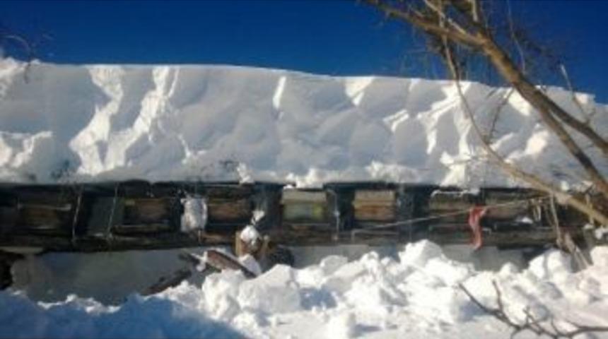 Artvin&rsquo;in Macahel B&ouml;lgesinde Ağır Kış Şartları H&uuml;k&uuml;m S&uuml;r&uuml;yor