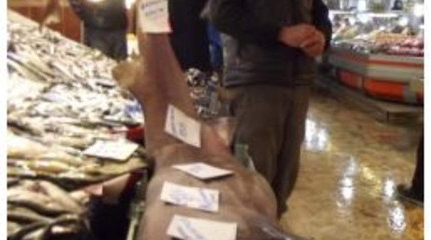 Malatya'da Satışa Sunulan K&ouml;pek Balığı İlgi G&ouml;r&uuml;yor