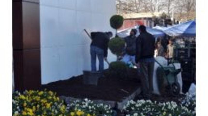 Pazar Park&rsquo;a 8 Bin Menekşe