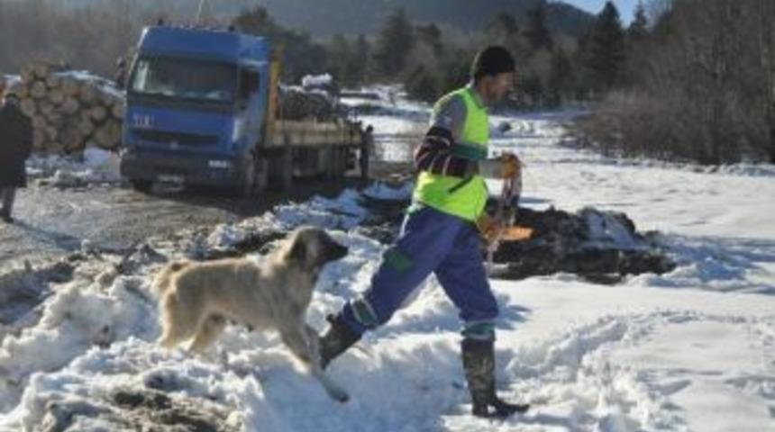 Karda A&ccedil; Kalan Hayvanları Doyurdular