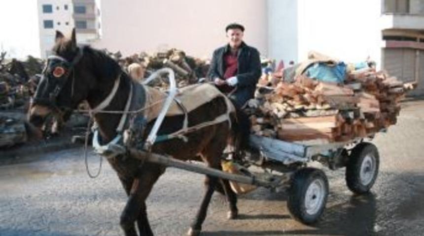 At Arabacılığı Teknolojiye Yenik D&uuml;şt&uuml;