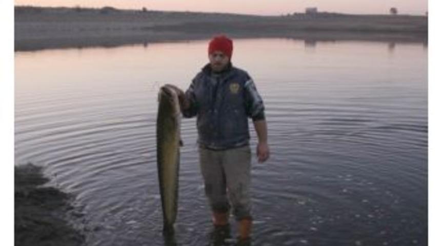 Toplu Balık &Ouml;l&uuml;mleri Vatandaşı Korkutuyor