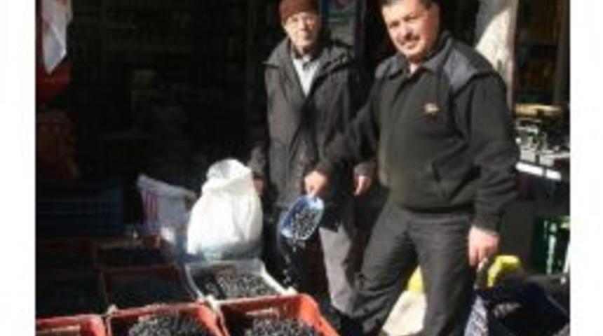 Sofralık Zeytin Satışlarında Sona Gelindi