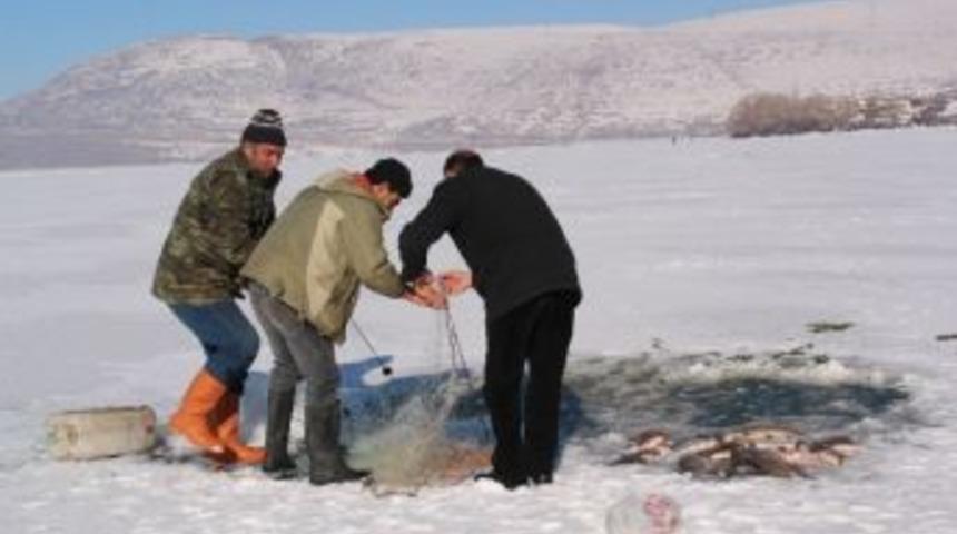 (&ouml;zel Haber) Donan G&ouml;lden İlk Ağlar &Ccedil;ekildi