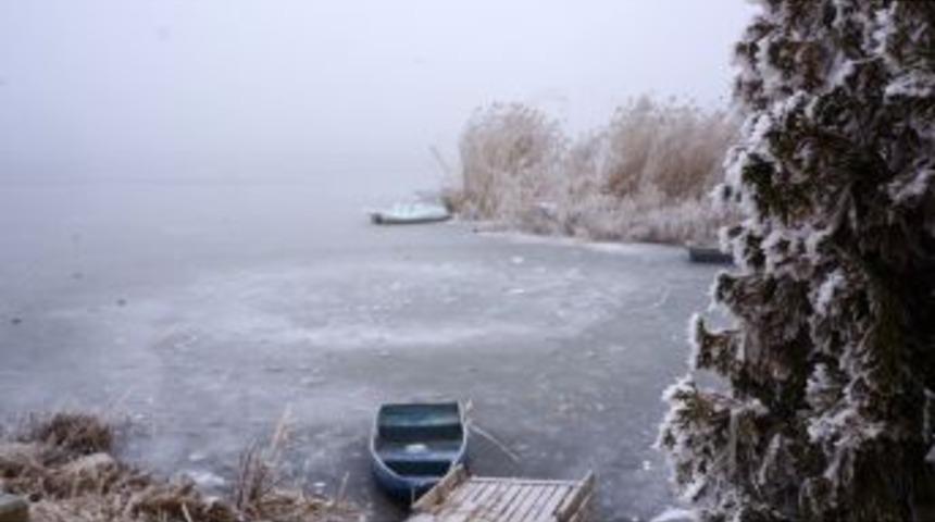 Buz Tutan Mogan G&ouml;l&uuml;&rsquo;ndeki Kuşların Yardımına Vatandaşlar Koştu