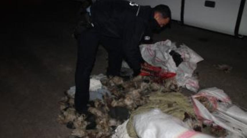 Yatak Y&uuml;nlerinin Arasından Ka&ccedil;ak Sigara &Ccedil;ıktı