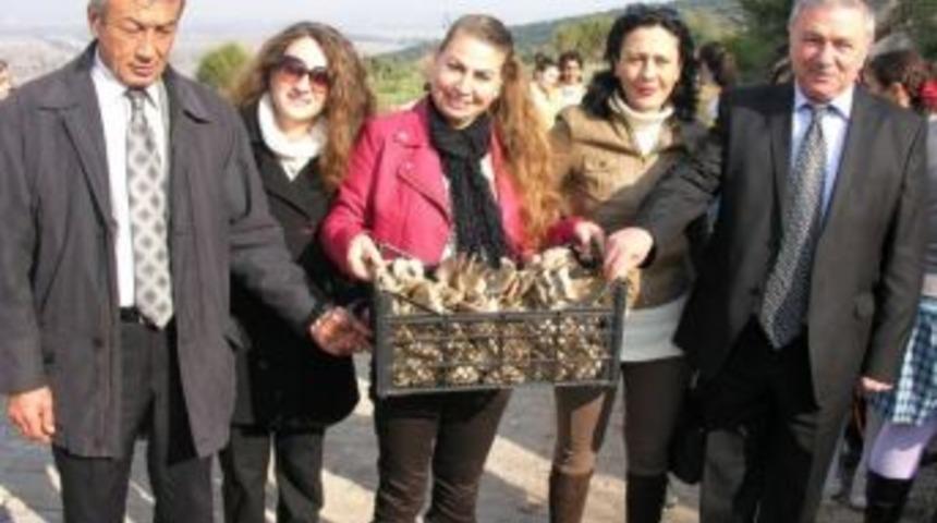 Didim&rsquo;de Yerli Malı Haftası Etkinlikleri