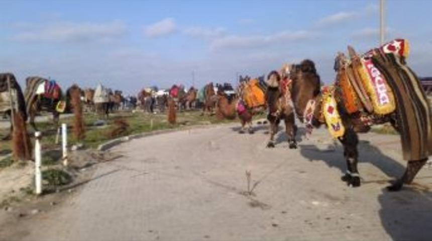 Deve G&uuml;reşi Amacına Ulaşamadı