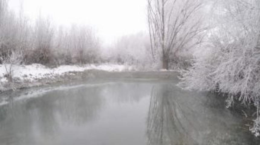 Kırağı D&uuml;şen Ağa&ccedil;lar Beyazlara B&uuml;r&uuml;nd&uuml;